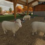 extra large sheepfold v1.0 fs22 3