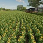 farminopolis map rowcrop v1.0 fs22 4