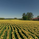 farminopolis map rowcrop v1.0 fs22 5