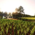 fazenda jatoba v1.0 fs22 5