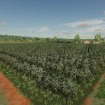 fazenda umari com culturas novas f22 v1.1 fs22 5