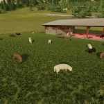 fenceless husbandries v1.0 fs22 3