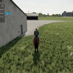 first person horse riding camera v1.0 fs22 2