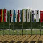 flag set v1.0.3 fs22 4