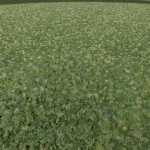 flowering cover crop prefab v1.0 fs22 1