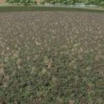 flowering cover crop prefab v1.0 fs22 2