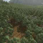 forest challenge v1.0.0.1 fs22 1