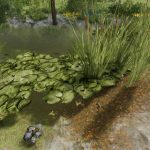 frogs for pond v1.0 fs22 4