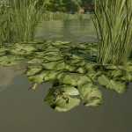 frogs for pond v1.0 fs22 5