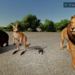 fs22 animals v1.1 fs22 6