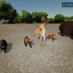 fs22 animals v1.1 fs22 7