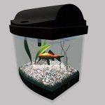 fs22 aquarium v1.0 fs22 5