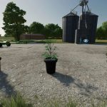 fs22 cannabis plants pack v1.0 fs22 3