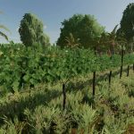 fs22 mapa fazenda umari v2.0 fs22 8