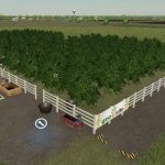 fs22 rici greenhouse and orchard modpack v1.0 fs22 2