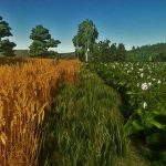 fs22 shadery by krzychu v1.0 fs22 5