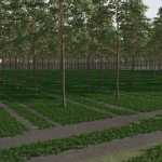 fs22 the plantation v1.0 fs22 1