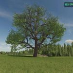 giant chestnut beta v1.0 fs22 1