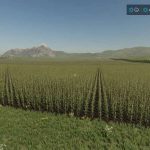 grand view lands v1.0.0.6 fs22 39