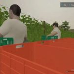 grape harvest with workers v1.1 fs22 2