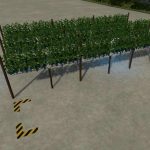 grape orchard v1.0 fs22 2