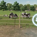 herdsman s stick v1.0 fs22 5