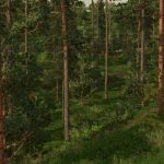 hillibee creek v1.0 fs22 6