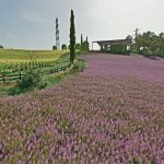 hills of tuscany v1.1.0.2 fs22 4