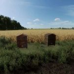 hives v1.0 fs22 2