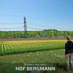 hof bergmann beta v1.0 fs22 1