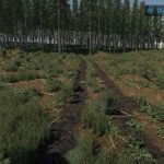 holmakra forest edition v1.0 fs22 5