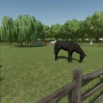 horse pasture v1.0.1 fs22 2