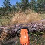 husqvarna 266 xp v1.0 fs22 1