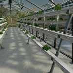 hydroponics greenhouse v1.0 fs22 1