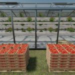 hydroponics greenhouse v1.0 fs22 4