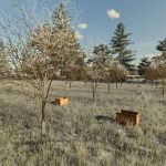 kalinovka map v3.0 fs22 2