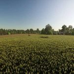 kruzewniki map v1.0 fs22 5