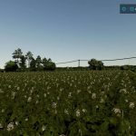 kurka niewydymka map v1.0 fs22 2