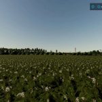 kurka niewydymka map v1.0 fs22 9