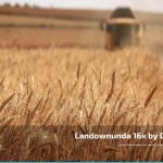 landownunda 16x v1.6 fs22 4