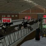 large cowshed v1.0 fs22 3