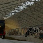 large cowshed v1.0 fs22 5