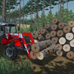 lizard agm 600 and bigbags pack v1.0 fs22 6