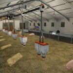 lizard animal barns expandable pastures ready v1.0 fs22 5