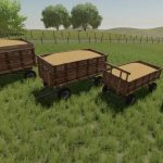 lizard hl trailer v1.0 fs22 5