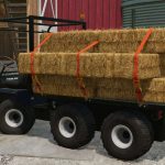 lizard minor 6x4 v1.0 fs22 3