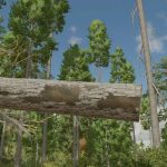 lumberjack v1.5 fs22 2