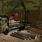 man tgs shortwood v1.0 fs22 2