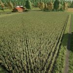 map riedwaldle v1.0 fs22 6