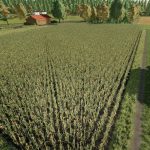 map riedwaldle v2.0.2 fs22 6